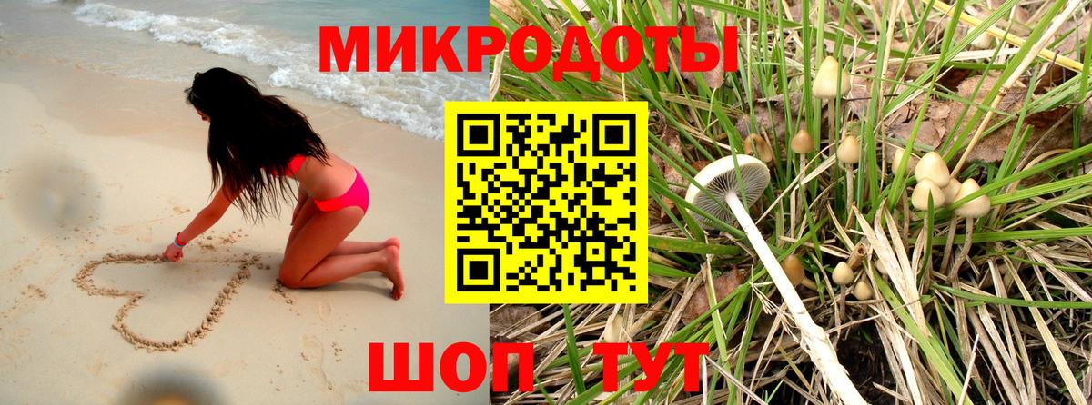 Галлюциногенные грибы Psilocybine cubensis  как найти закладки  Шадринск  Вход с VPN 