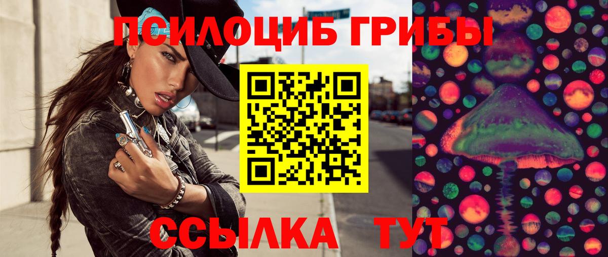 Псилоцибиновые грибы Psilocybine cubensis Шадринск